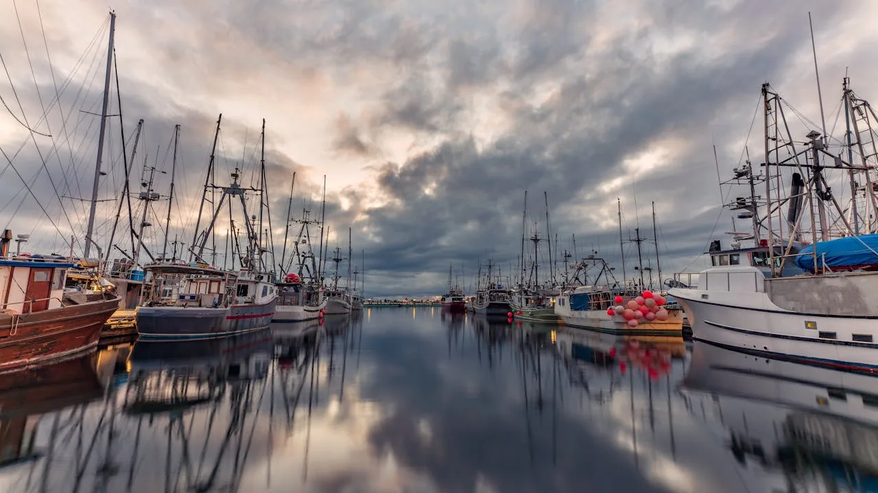 Stralsund Hafentage