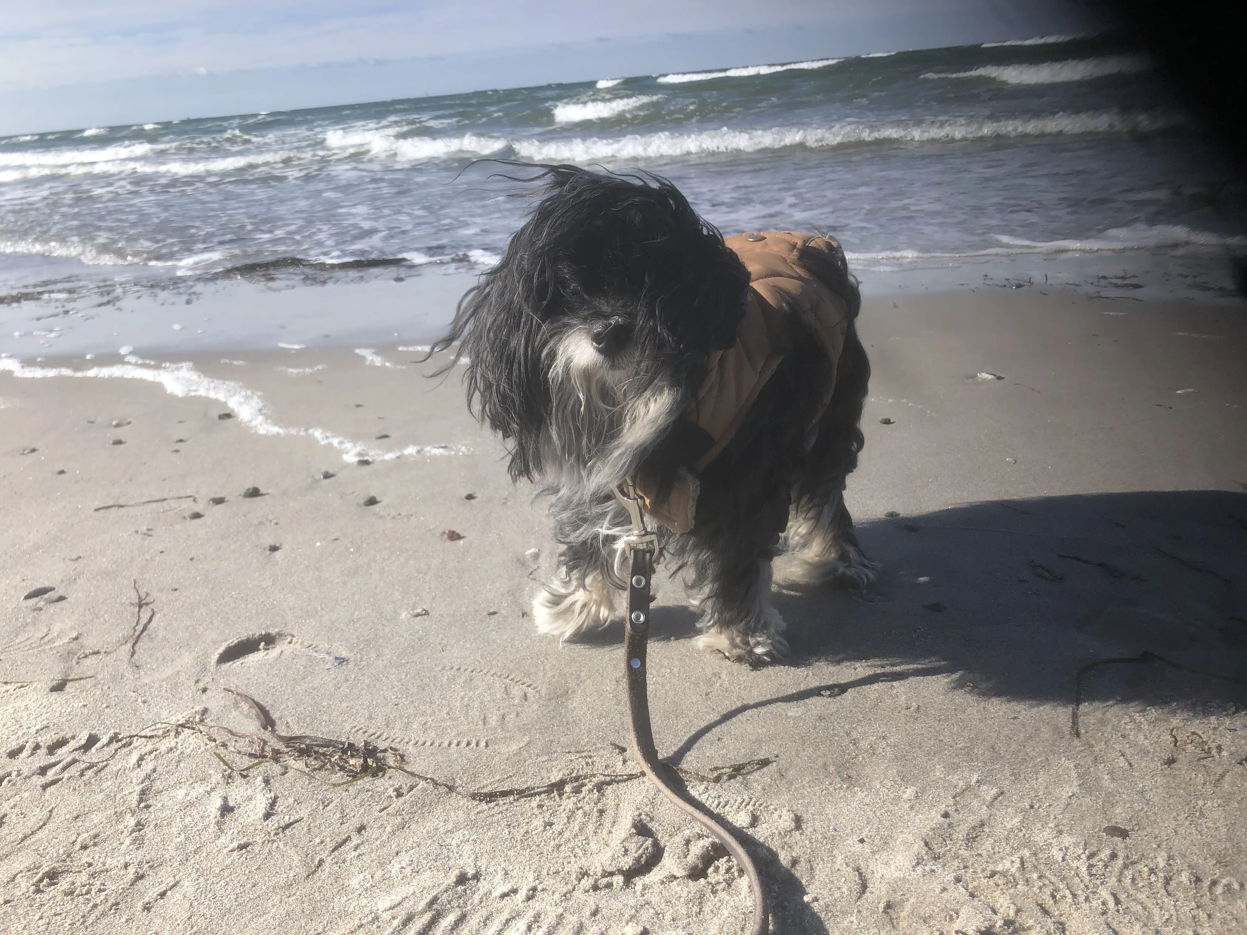 Emma am Strand in Binz