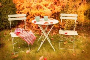 10 geniale Herbst Gartentipps für Ostsee-Bewohner: So wird Ihr Garten winterfest!