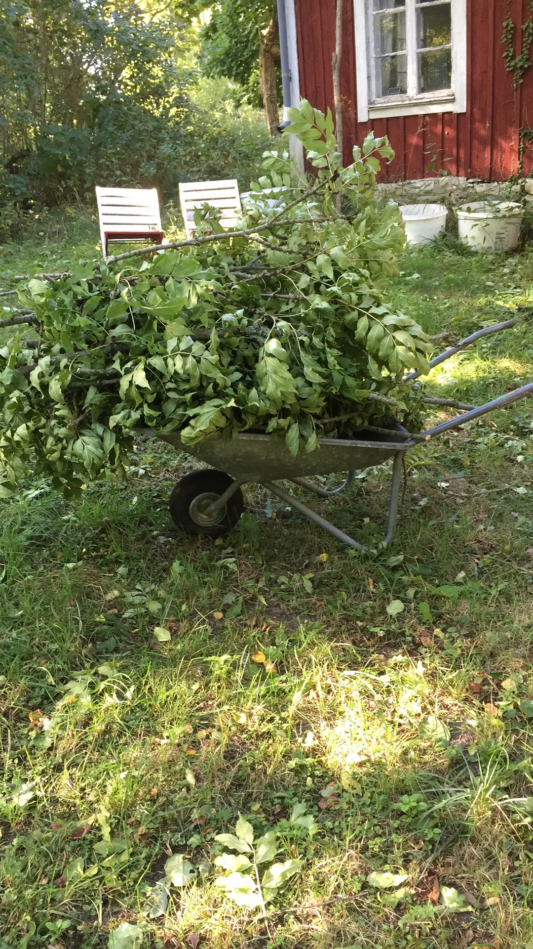 Gartenarbeit im Herbst