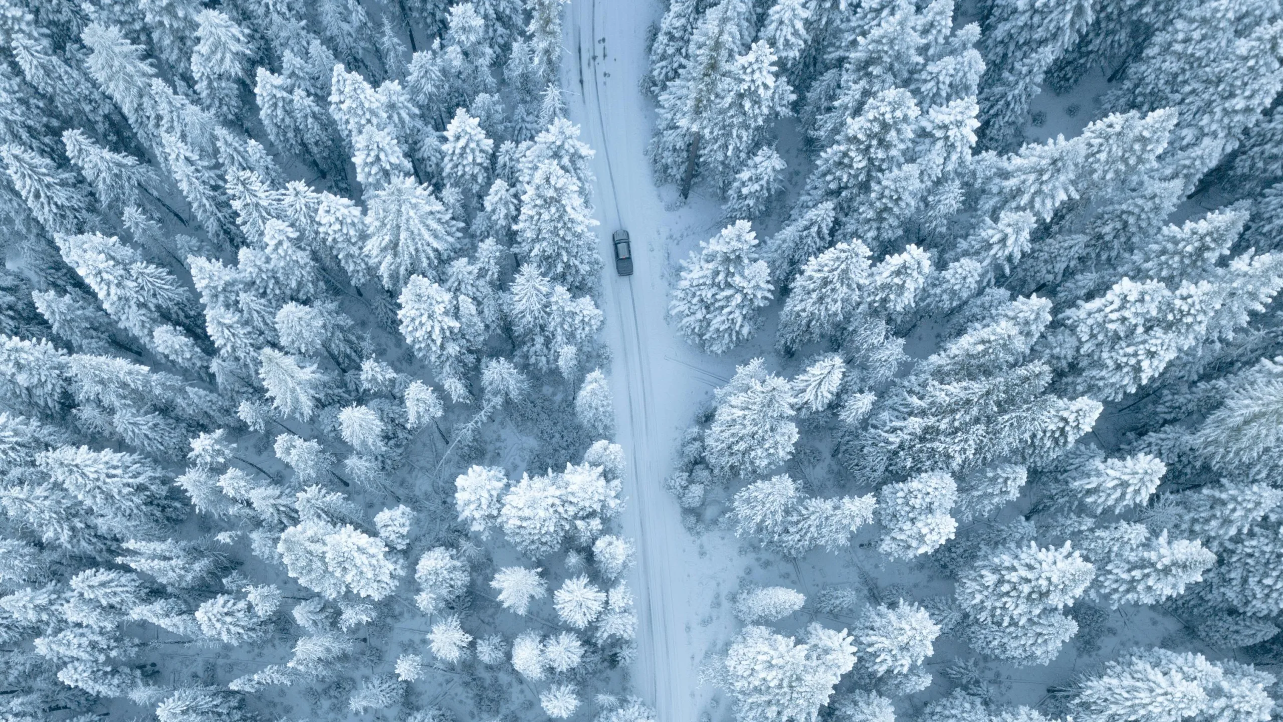 Autofahren im Winter