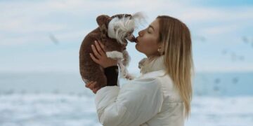 Im Winter mit Hund nach Rügen – Urlaubstipps für Sie