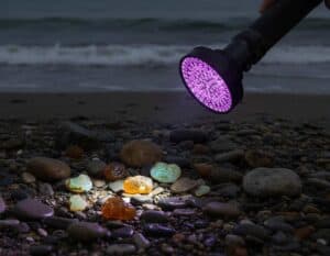 UV-Taschenlampe (NF)