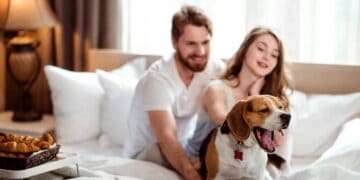 Hotel Stralsund mit Hund